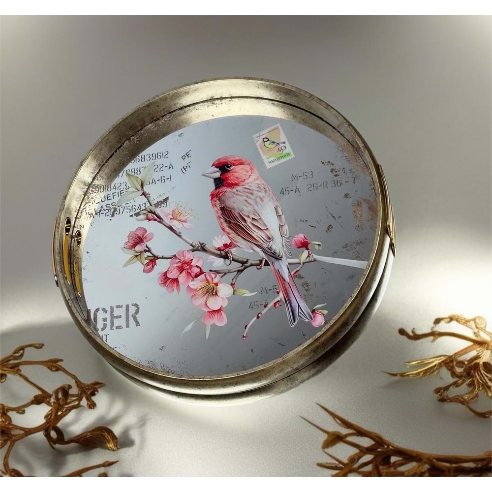 N.356.SL -TEPSİ ŞEFFAF YUVR. FIRFIRLI -HELENA DVD