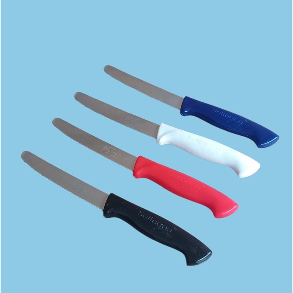 STEAK BIÇAK TEKLİ RENKLİ RITTER -SOLİNGEN