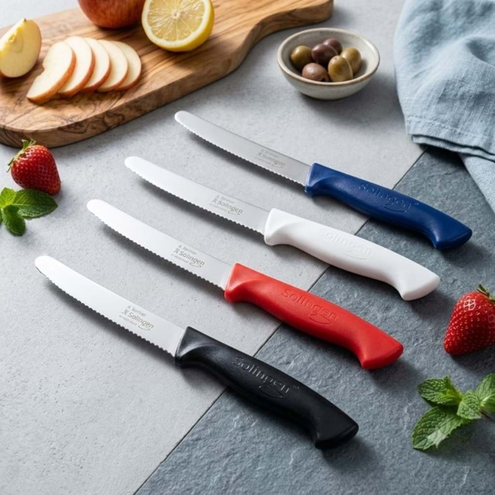 STEAK BIÇAK TEKLİ RENKLİ RITTER -SOLİNGEN