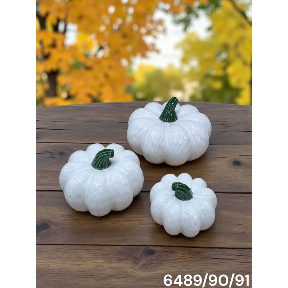 6489.90.91.B-OBJE BALKAĞI 3LÜ BEYAZ -AROW