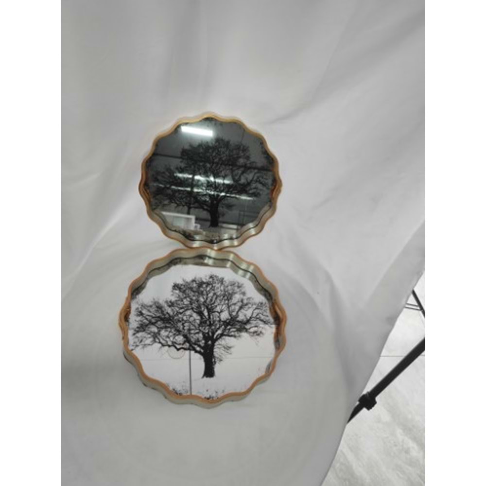 6739 -TEPSİ AKRİLİK 2Lİ FIRFIR -AROW