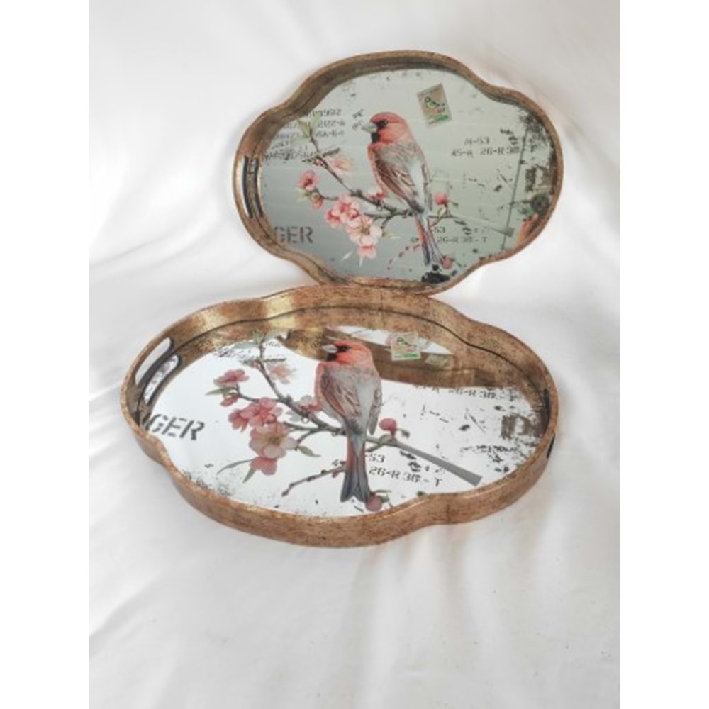 6776 -TEPSİ AKRİLİK 2Lİ FIRFIR OVAL-AROW