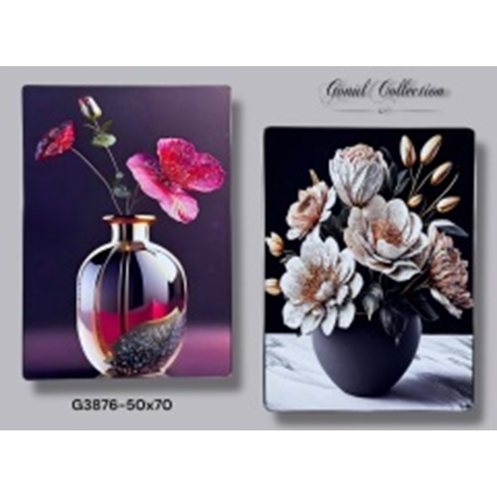 3876-RESİMLİ TABLO 50X70 -GÖNÜL