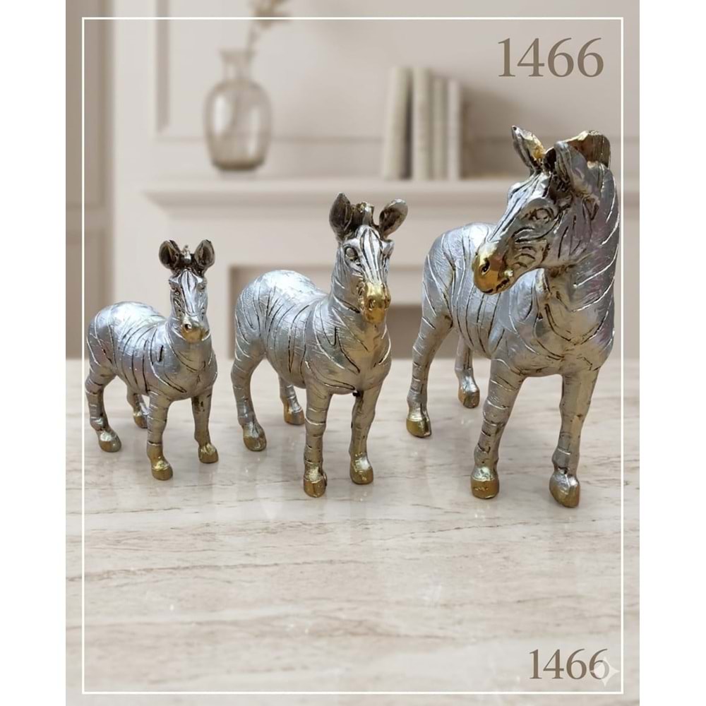 1466.GM -BİBLO 3LÜ ZEBRA AİLESİ GMŞ -İNCİ