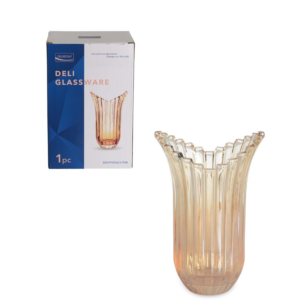 2026.HA -CAM VAZO BAL -İPEK