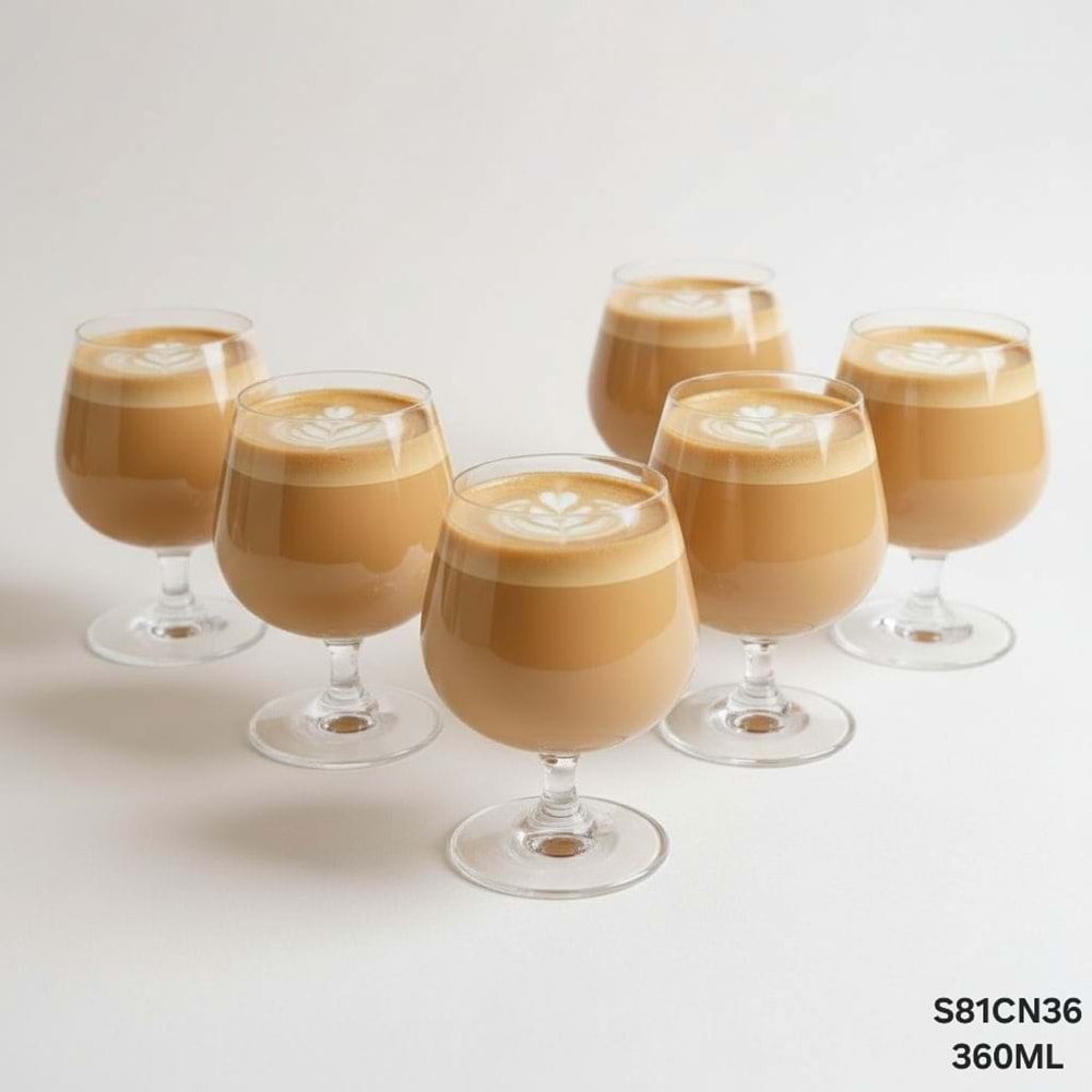 S81CN36-CAM KADEH BRD 6 LI 360ML -TUTKU