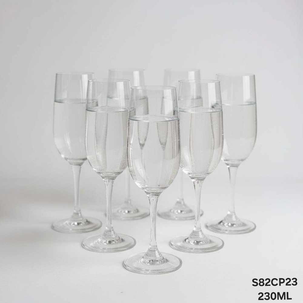 S82CP23-CAM KADEH BRD 6 LI 230ML -TUTKU