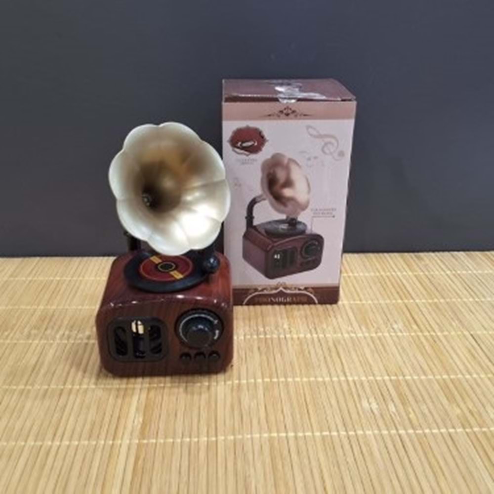 4205-MÜZİK KUTUSU PİKAP -TUTKU