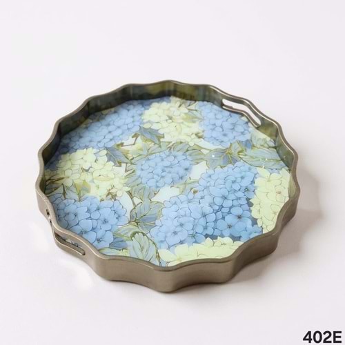 402.EE-TEPSİ AKRLK. YUVR. FIRFIRLI -SOFIA DVD