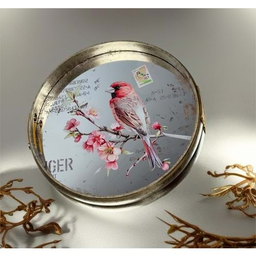 N.356.SL -TEPSİ ŞEFFAF YUVR. FIRFIRLI -HELENA DVD