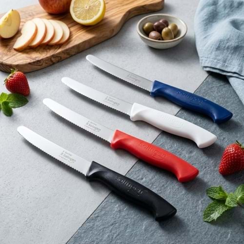 STEAK BIÇAK TEKLİ RENKLİ RITTER -SOLİNGEN