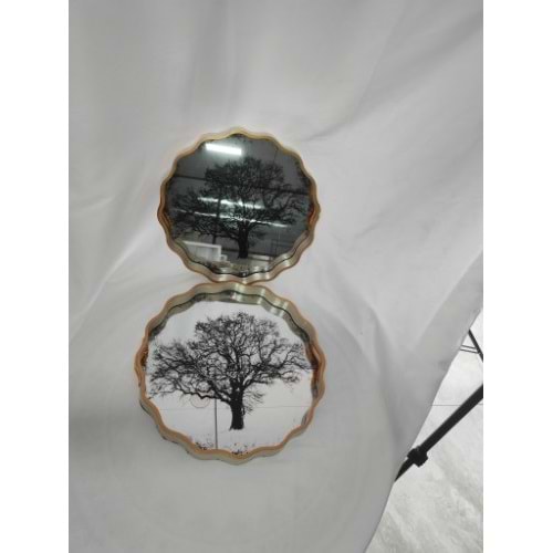 6739 -TEPSİ AKRİLİK 2Lİ FIRFIR -AROW