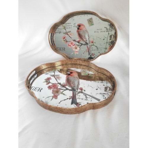 6776 -TEPSİ AKRİLİK 2Lİ FIRFIR OVAL-AROW