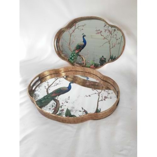 6780 -TEPSİ AKRİLİK 2Lİ FIRFIR OVAL-AROW