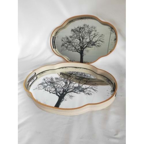 6781 -TEPSİ AKRİLİK 2Lİ FIRFIR OVAL-AROW