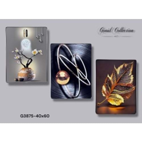 3875-RESİMLİ TABLO 40X60 -GÖNÜL