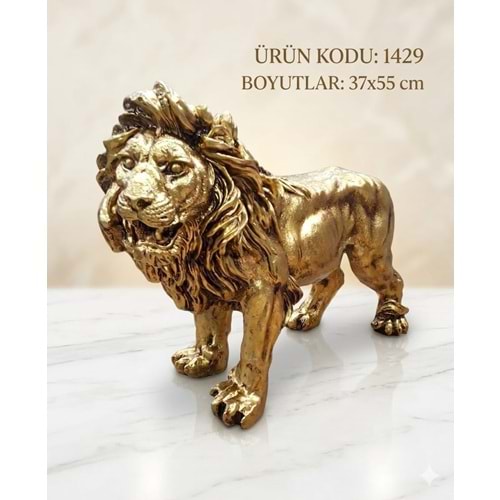 1429.SA -BİBLO ASLAN BATTAL SARI -İNCİ