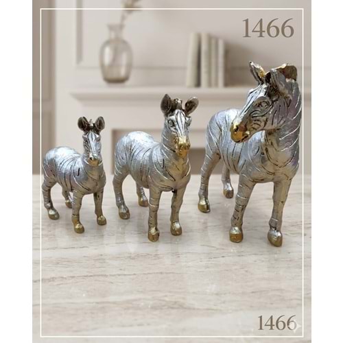 1466.GM -BİBLO 3LÜ ZEBRA AİLESİ GMŞ -İNCİ