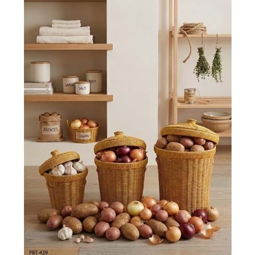 PBT.439-PATATES SOĞAN SEPETİ 3 LÜ -PABLİTO