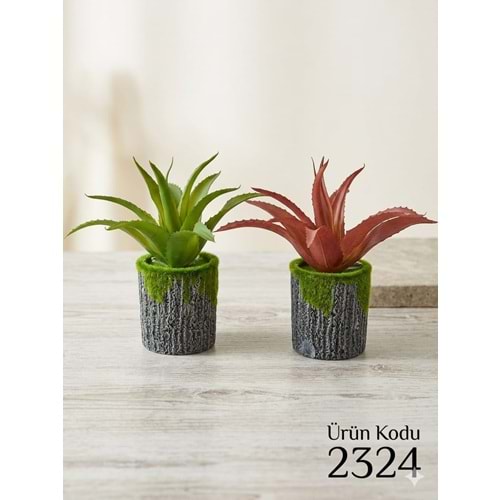 K.26 -MİNİ SAKSILI ÇİÇEK 12CM-ZEYVE