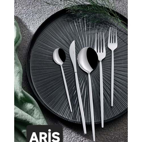 KAŞIK KUTU 84 PRÇ.ARİS-ONUR