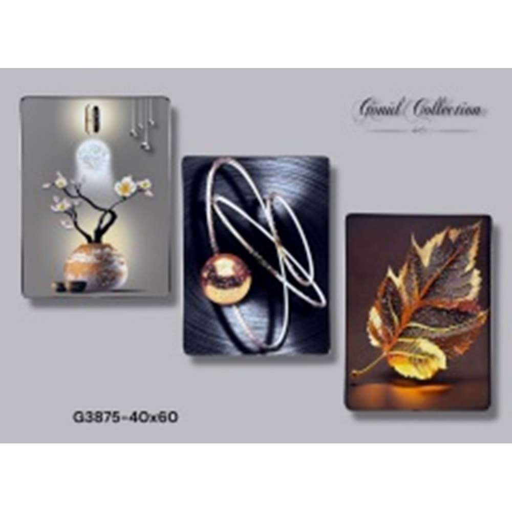 3875-RESİMLİ TABLO 40X60 -GÖNÜL