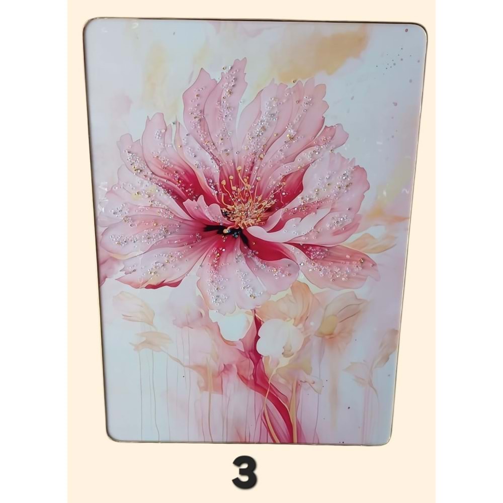 PN07 -TABLO BONCUKLU DİKT. 50X70 -ZEYVE