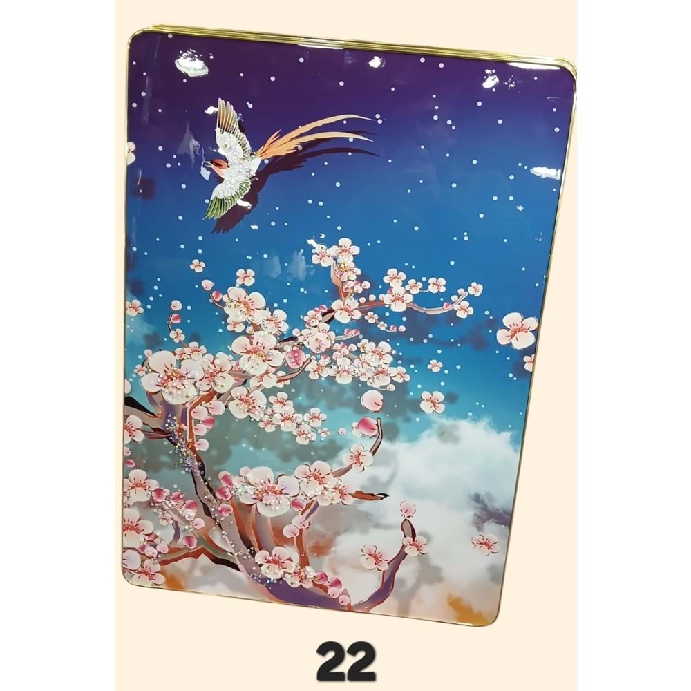 PN07 -TABLO BONCUKLU DİKT. 50X70 -ZEYVE