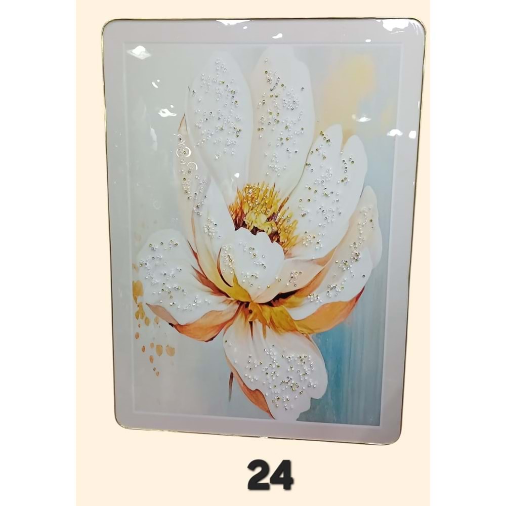 PN07 -TABLO BONCUKLU DİKT. 50X70 -ZEYVE