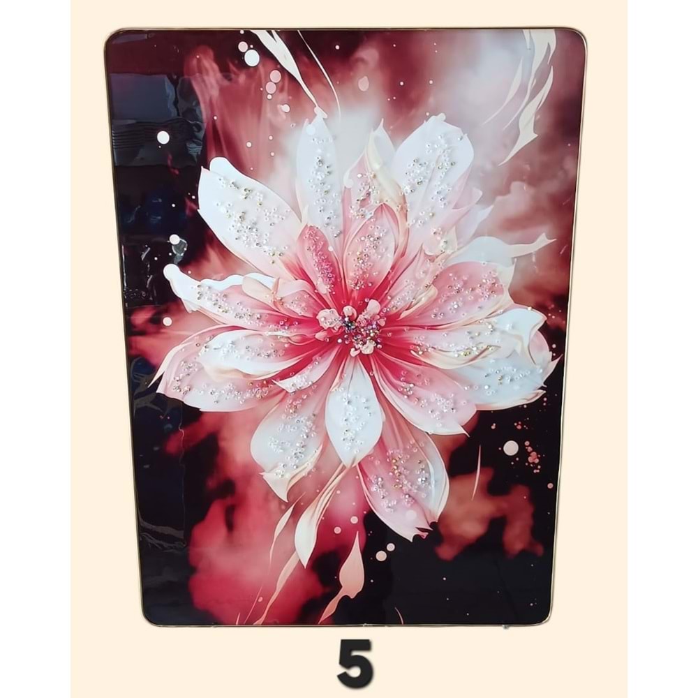 PN07 -TABLO BONCUKLU DİKT. 50X70 -ZEYVE