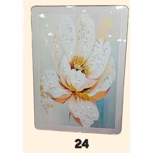 BZ.PN.07 -TABLO BONCUKLU DİKT. 50X70 -ZEYVE